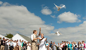 Wedding Doves