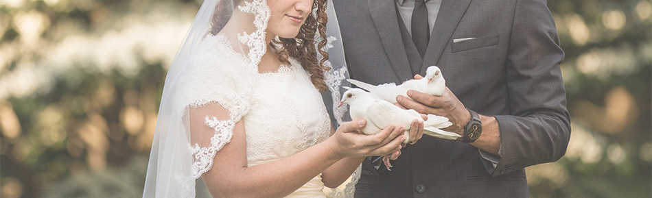 wedding doves