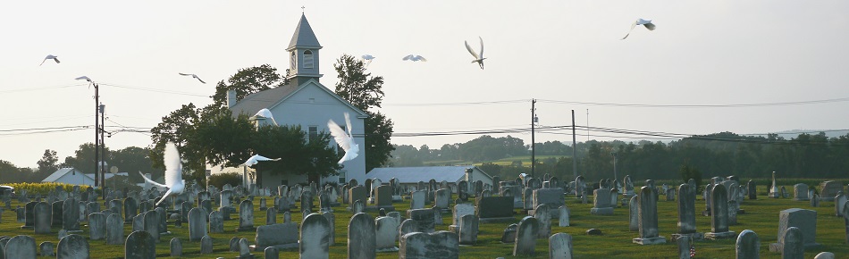 funeral doves