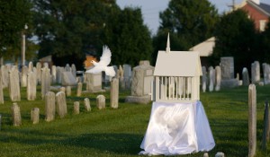 Funeral Doves