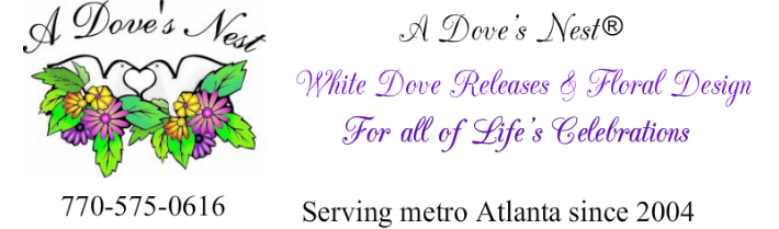 Interview With “A Dove’s Nest”