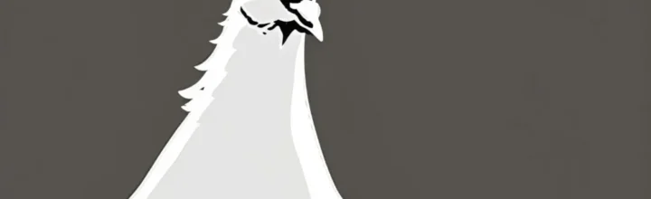 Lost Dove