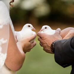 Visions of White - About Us